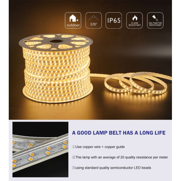 DC220V Smd 2835 Led Strip 12.5W/M Color Change Outdoor Led Strip