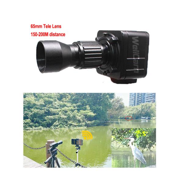 Quality Long Distance COMS WIFI Video Surveillance Camera For Bird Watching for sale