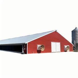 China Modern Steel Chicken Farm Building , Light Steel Structure Poultry House wholesale