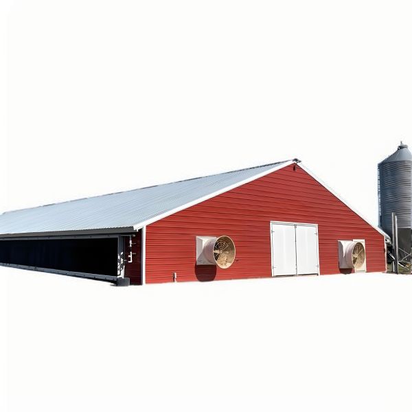 Easy Install Steel Structure Poultry House Painting Galvanized Surface Chicken