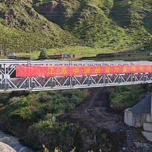 China Painted Light Gray Steel Structure Bridge / Prefabricated Truss Pedestrian Bridge wholesale