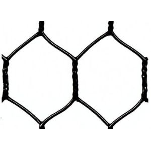 China 25mm Green Black Vinyl Coated Chicken Wire Fencing 1in 20 Gauge Poultry Netting on sale