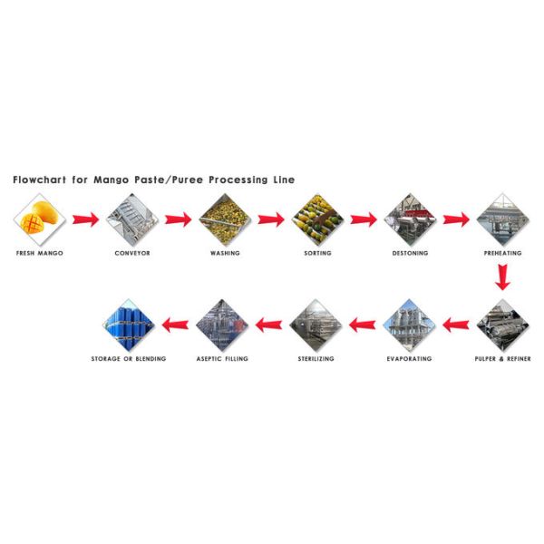 Automatic Fruit Processing Line Mango Paste Processing Line Energy Saving