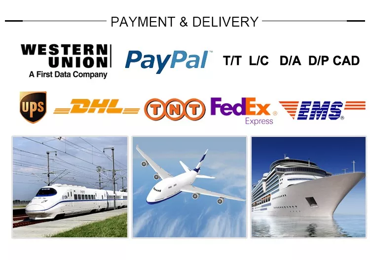 ASTM-A312 316 316L SCH40 Stainless Steel Pipes Centrifugal Casting Tube Alloy Steel Pipe Seamless