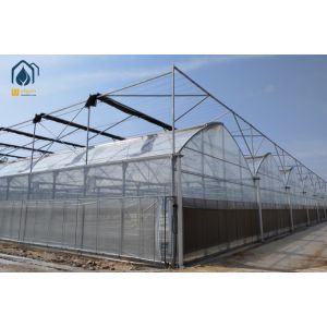 China Agricultural Galvanized Steel Multi Span Greenhouse For Vegetable Cultivation on sale