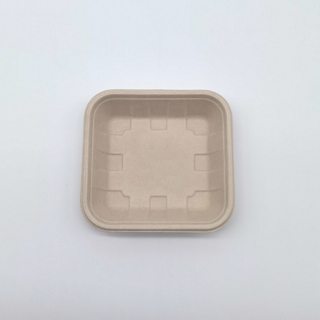 China Compostable Biodegradable Bagasse Tableware Disposable Rectangular Shape wholesale