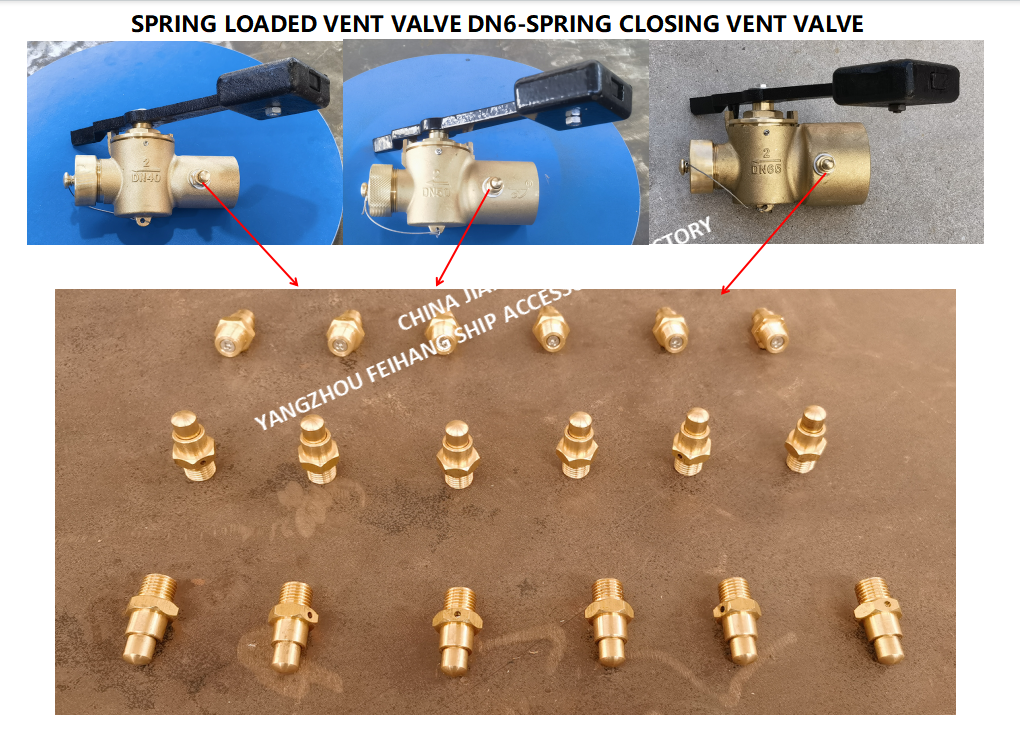 DN6 Size Spring Loaded Vent Valve with Threaded Connection Compliant to CB/T3778-1999 Standard