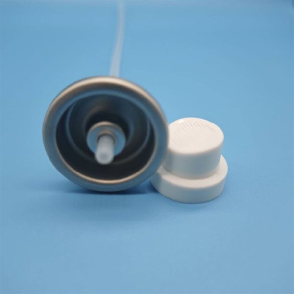 Ultra-Fine Continuous Mist Facial Water Spray Valve for Luxury Skincare and Sensitive Skin with Hydrating Nano Diffusion