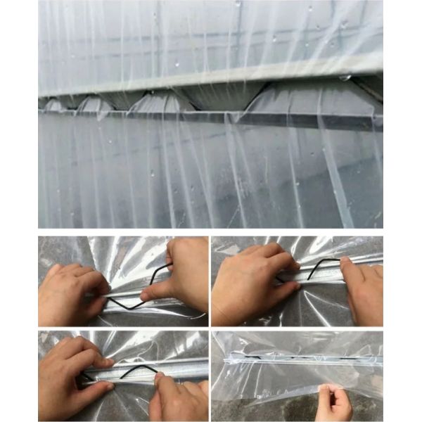 6m-10m Width Galvanized Steel Frame Single Span PE Film Greenhouse for Tomato