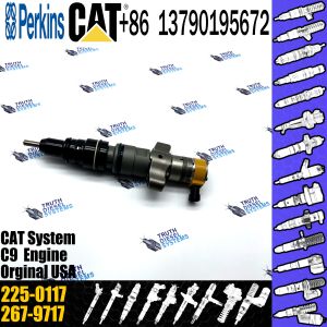 China Cat C9 engine injectors 2250117 Common Rail Fuel Injector 225-0117 for Caterpillar c9 injectors 225 0117 on sale