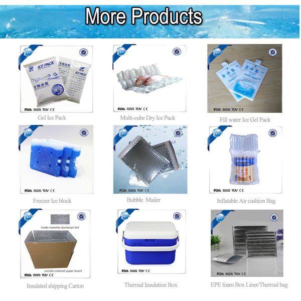 Food Carry Insulated Thermal Pouch Bags Packaging For Live Seafood Delivery Eco-Friendly And Durable