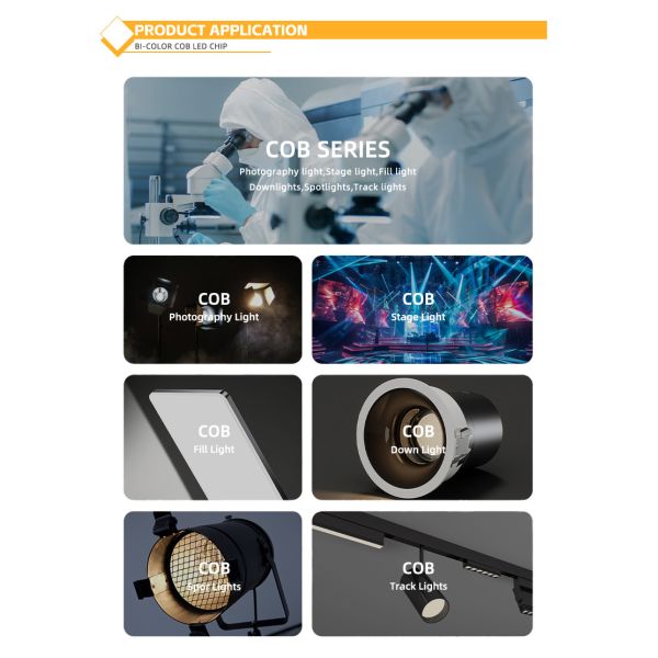 Customised Aluminum Material COB Chip 2424 in White Blue Red & Green High Brightness China Factory