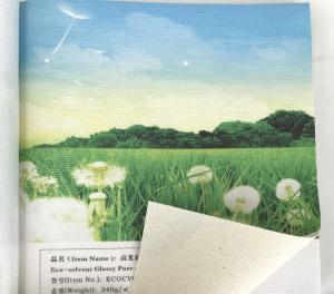 China 380gsm Blank Canvas Roll , Blank Wrapped Canvas With ISO Certificate wholesale