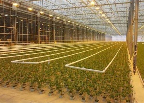 Anti Corrosion Greenhouse Rolling Benches Superior Quality Welded Mesh Materials