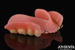 Personalized Customization Acrylic Denture Finish Lightweight High Elasticity