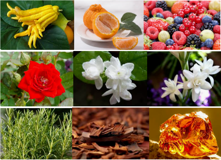 ISO Grade Lux Fragrance Oil For Shampoo Shower Gel & Soap Paraben-Free