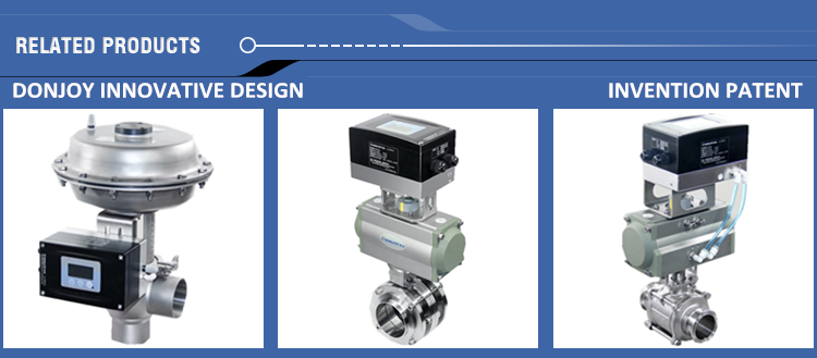 DONJOY Pneuamtic diaprhagm valve with control head for regulating
