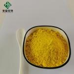 China Natural Berberine HCL Powder 98% Cortex Phellodendri Extract wholesale