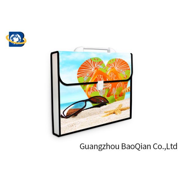 3D Lenticular Picture Expanding File Folders , Presentation Folder Printing