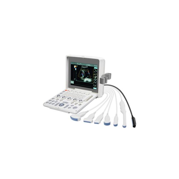3D Optional Portable Cardiac Color Doppler Ultrasound Machine Detect With 12.1 Inch LED Screen