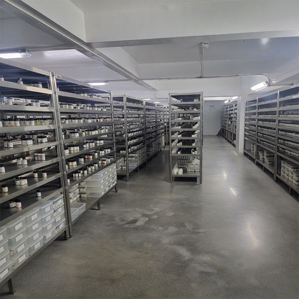 Deep Cleaning Sweet Orange Laundry Detergent Fragrance Effective Fragrance For Factory