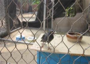 China Ferruled Aviary Wire Stainless Steel Bird Mesh Netting For Visitor Protection wholesale