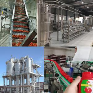 Industrial Vegetable Juice Production Line SUS304 Special Machines For Vegetable Processing Plants