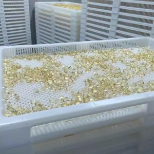 ISO9001 PPE 75 * 55 * 5cm Plastic Drying Trays