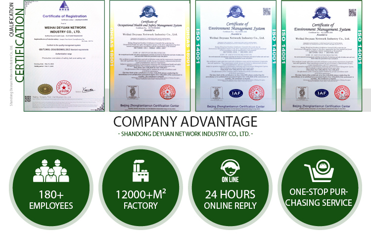 11000Dtex 30mm Synthetic Grass 15800 Density Artificial Lawn Faux Mat Carpet