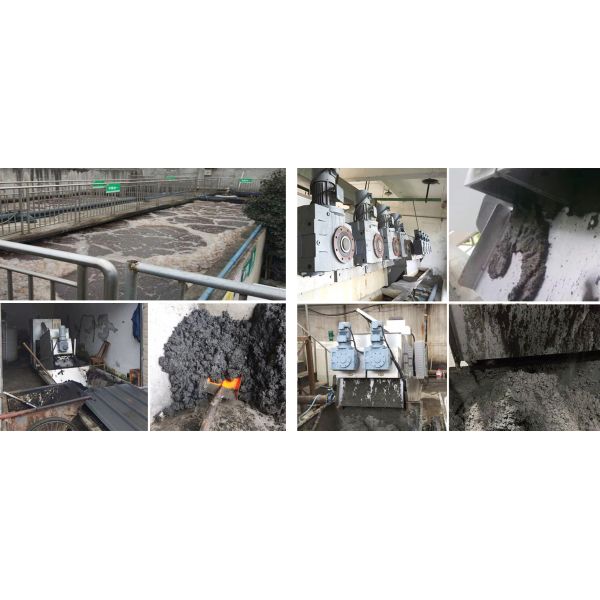 Field Maintenance and Repair Service Stainless Steel Screw Press Sludge Dewatering Machine
