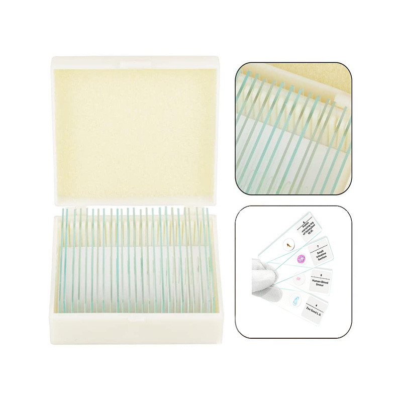 China Lab Research 25 Kinds 22x22mm Label Microbiology Bacteria Slides wholesale
