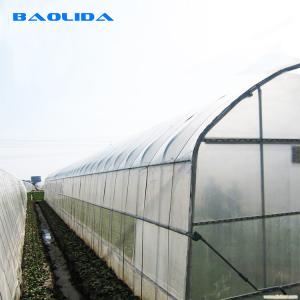 China 200 Micron Pe Film Greenhouse Agricultural Tomatoes Growing Tunnel Plastic Greenhouse wholesale