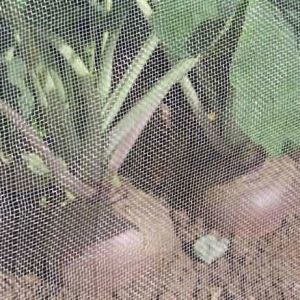 Single Thread Agricultural Insect Netting / Insect Screen Roll UV Stabilized