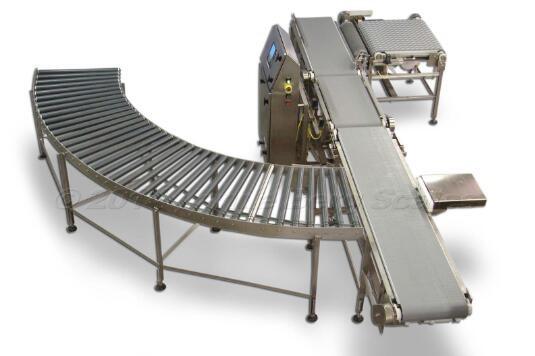 Customized Roller Conveyor System For Assembly Line / Airport / Logistic Sorter