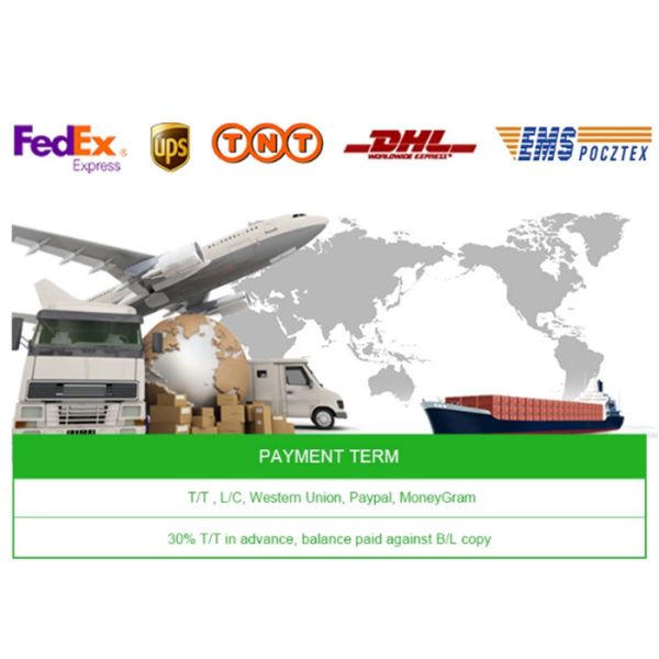 Customized Size Aluminum Foil Stand Up Pouch Packaging Bags With Handle Hole