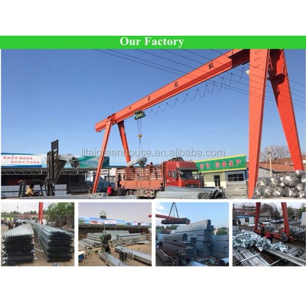 Film Covered Agricultural Tunnel Greenhouse for Growing Vegetables Fruits and Flowers