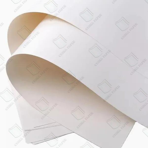 Quality High-Quality White C1S Ivory FBB Bristol Board 225gsm/275gsm/305gsm for Luxury Packaging, Printing & Cardboard Applications for sale