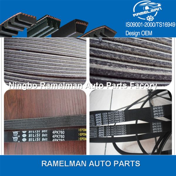 factory supply teeth belt pk belt timing belt with high quality Z502-12-205/123 MY 22/99 RU 25/129RU25 ford timing belt