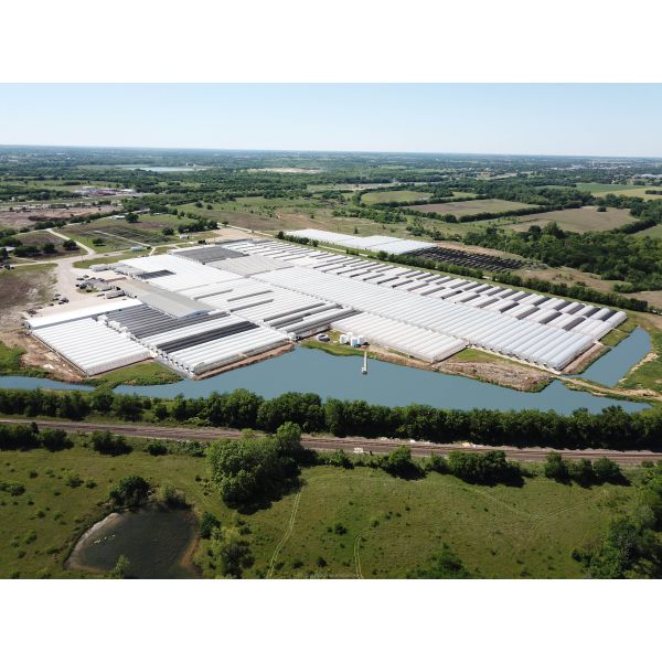 Vegetable Fruits Flowers Film Greenhouse Chinese Multi Span Greenhouse for Tomato Agriculture