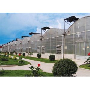China Eco Friendly Plastic Garden Greenhouse Galvanized Steel Tube Frame Structure wholesale