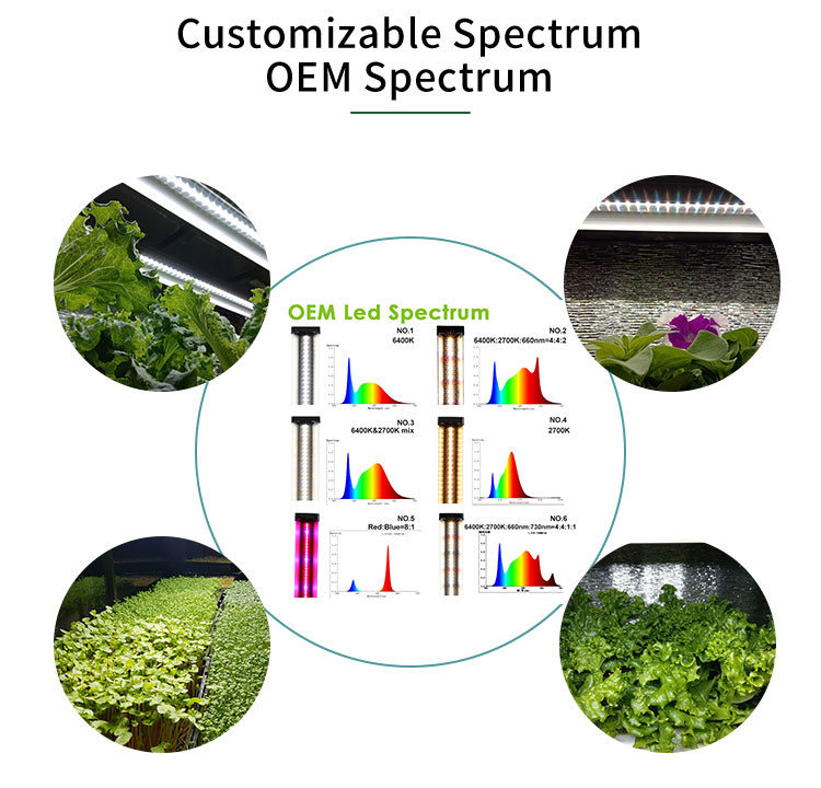 Home Mounted Aeroponic 6000K Led Grow Light Timer For Microgreen