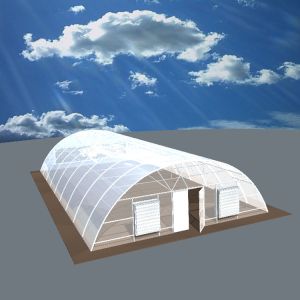 Customize Agricultural Greenhouse Poly Film Greenhouse For vegetable growing