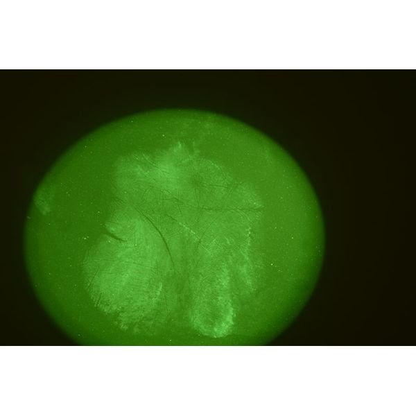 M001 BTJG-I LED wide light exit footprint search light source