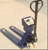 China Pallet Scale IN-FL017 wholesale