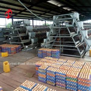 China Turnkey Project Automatic Poultry Battery Cage System 3 Tiers 450cm2 Star wholesale