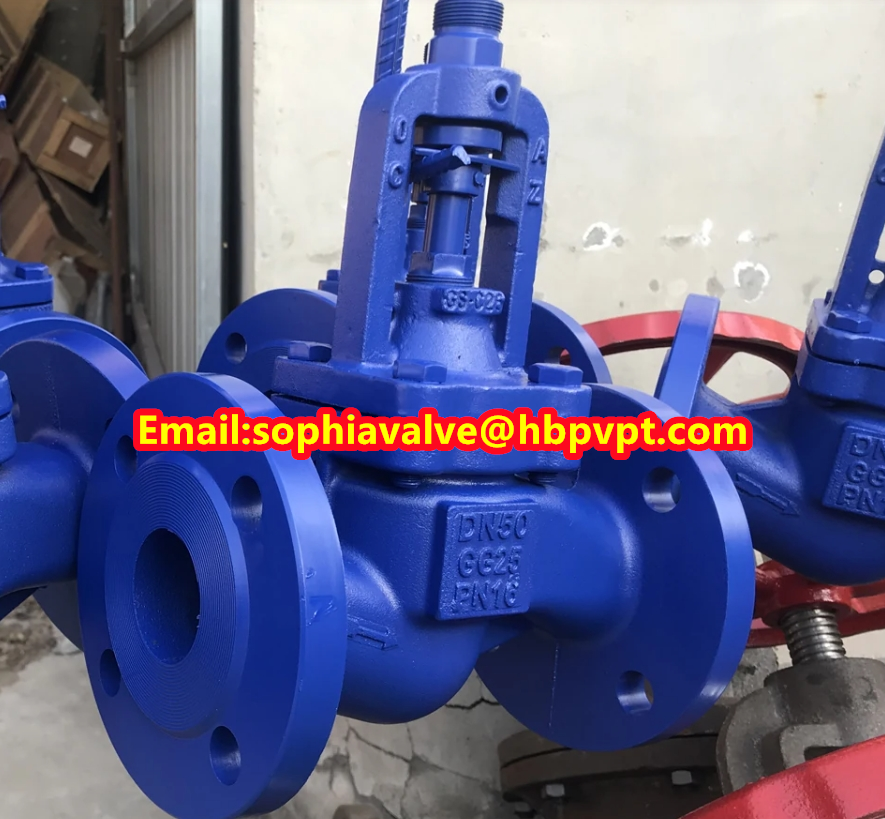 DN25-DN80 PN16 GG25 DIN bellows globe valve