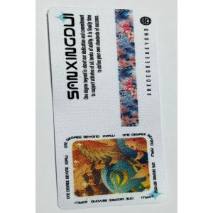 Advanced Technical Printing Heat Transfer Clothing Labels for Jeans