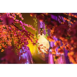 China Floating 3D Holographic Display Hologram Musion Eysliner Foil 5x30m wholesale