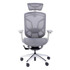 Grey Frame Ergonomic Office Chair Large Tilting Angle Multi Adjustment