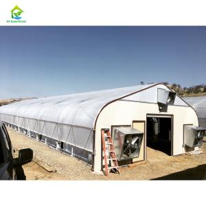 Buy cheap Hot Galvanized Steel Commercial Light Deprivation Greenhouse for Hemp Cultivatio from wholesalers